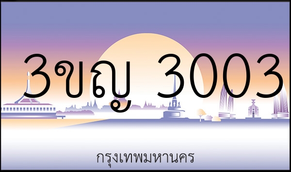 3ขญ 3003